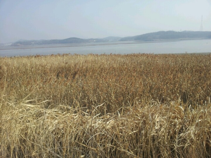 짬뽕스토리 이미지