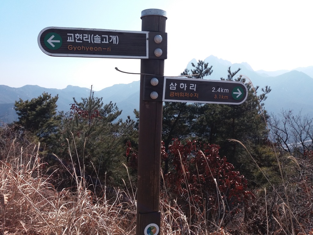 고양고등학교 이미지