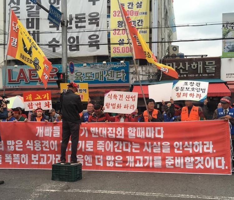 [대구] 어제 올라왔던 대구 칠성시장 개고기 축제 현시각 | 인스티즈