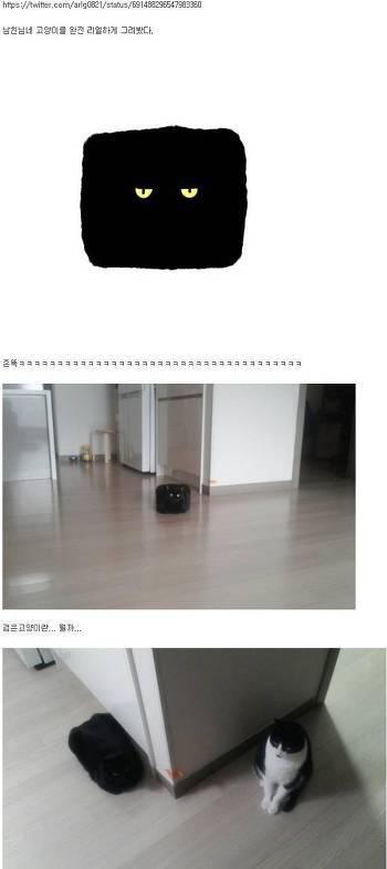 남친의 고양이를 그려봤다.jpg | 인스티즈