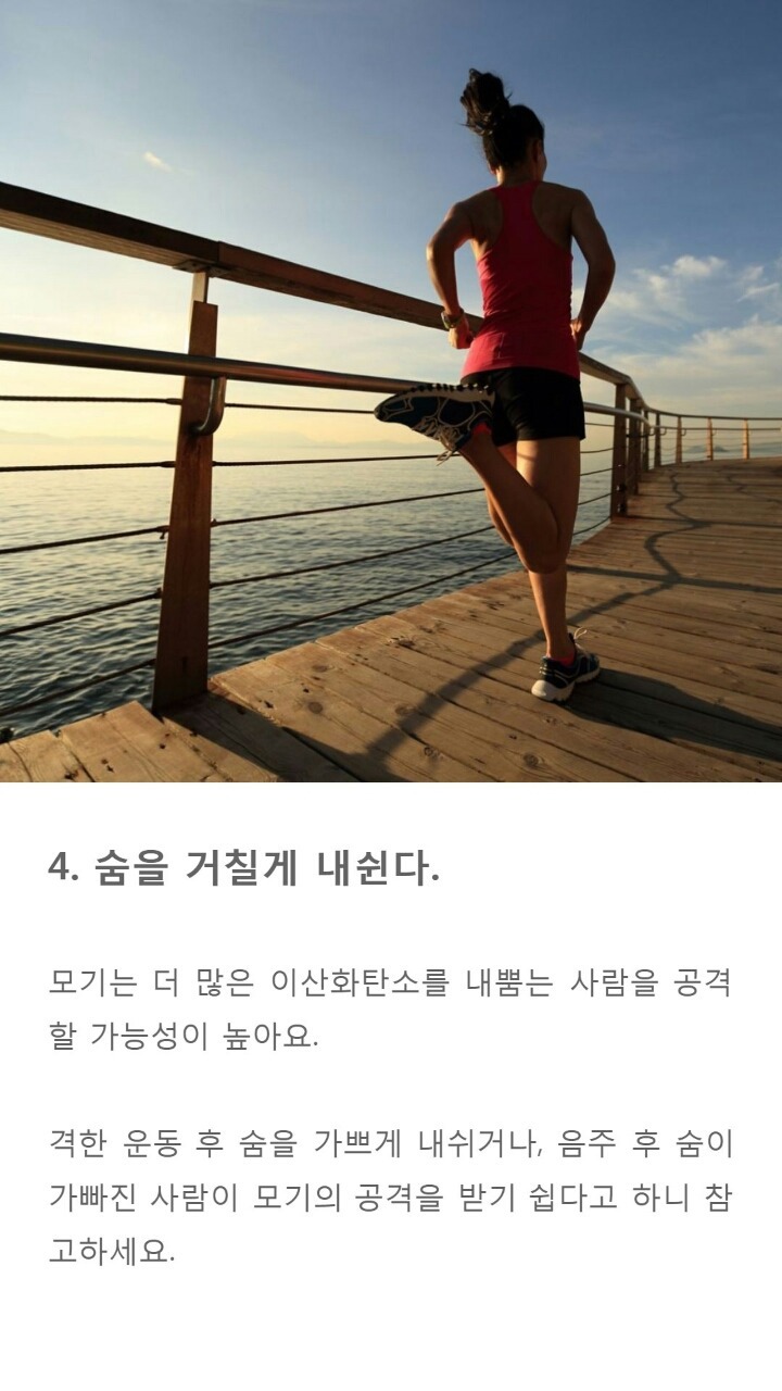 모기에게 잘 물리는 사람들 특징 9가지 | 인스티즈