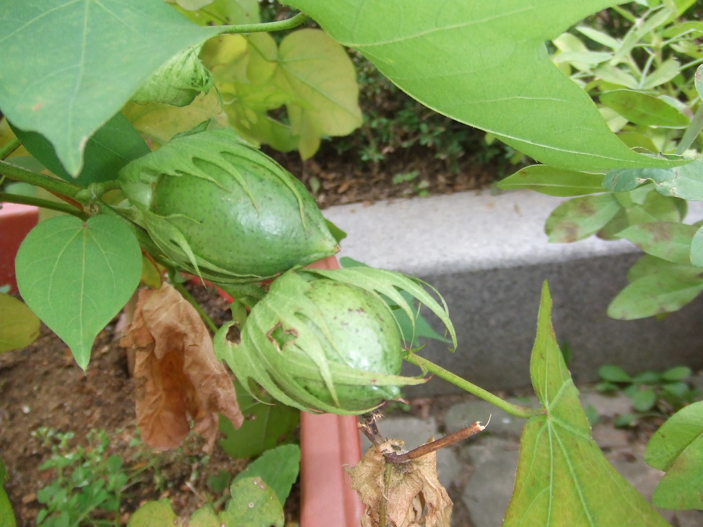 (주)넝쿨 이미지
