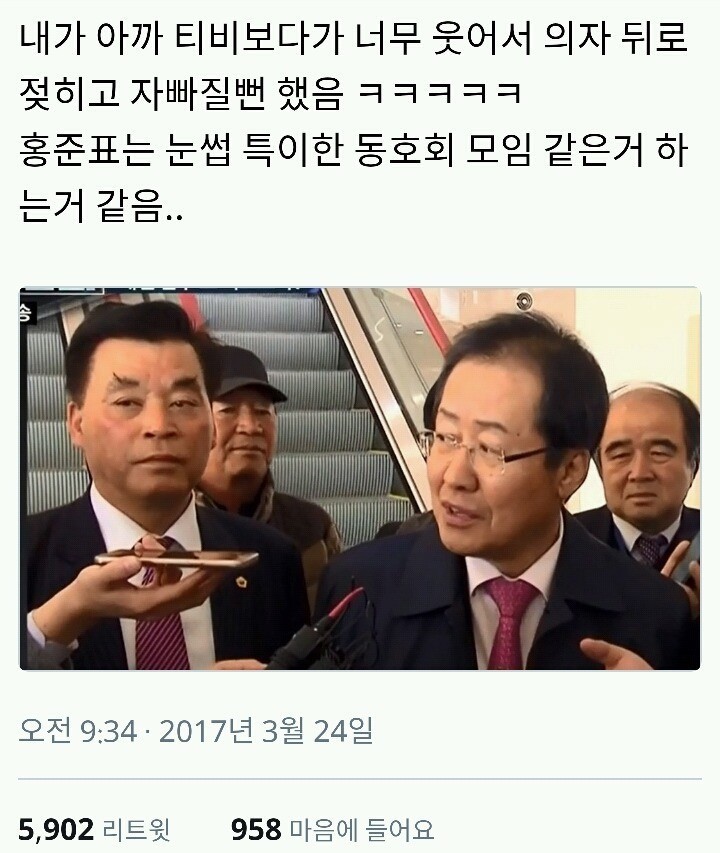 홍준표 눈썹 동호회 | 인스티즈