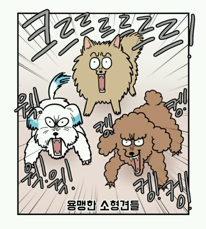 대형견 키우는 사람 공감 | 인스티즈