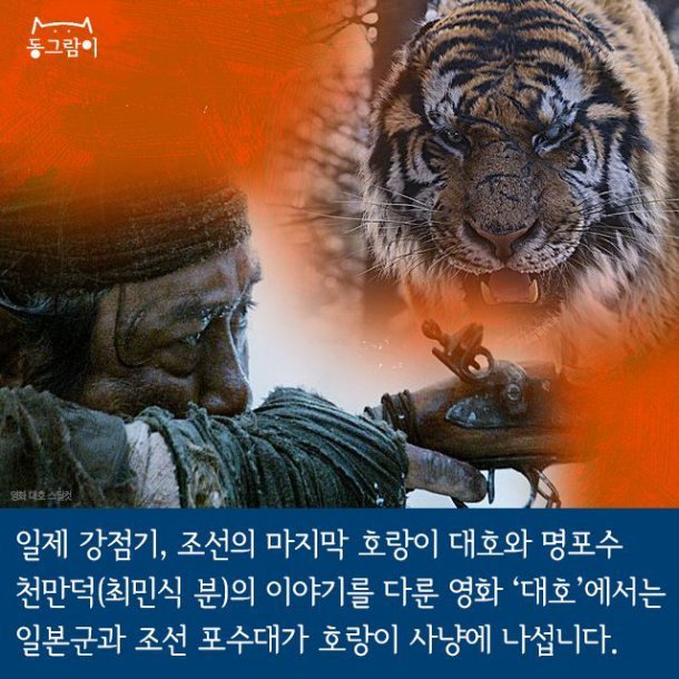 일제 강점기 멸종된 한반도의 동물들 | 인스티즈