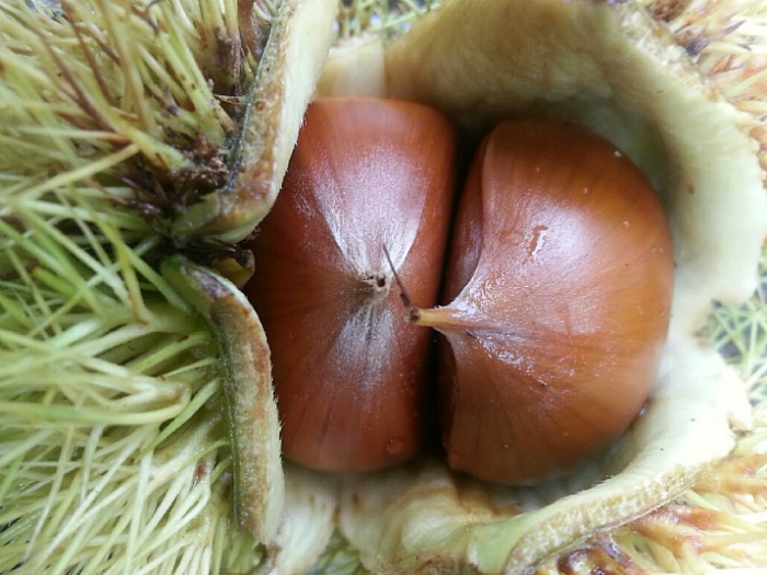 장재골 이미지
