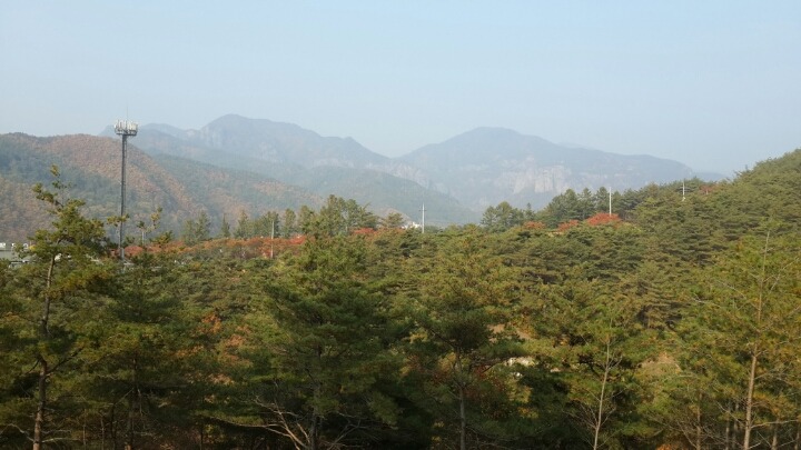 산림조합중앙회임업인종합연수원 이미지