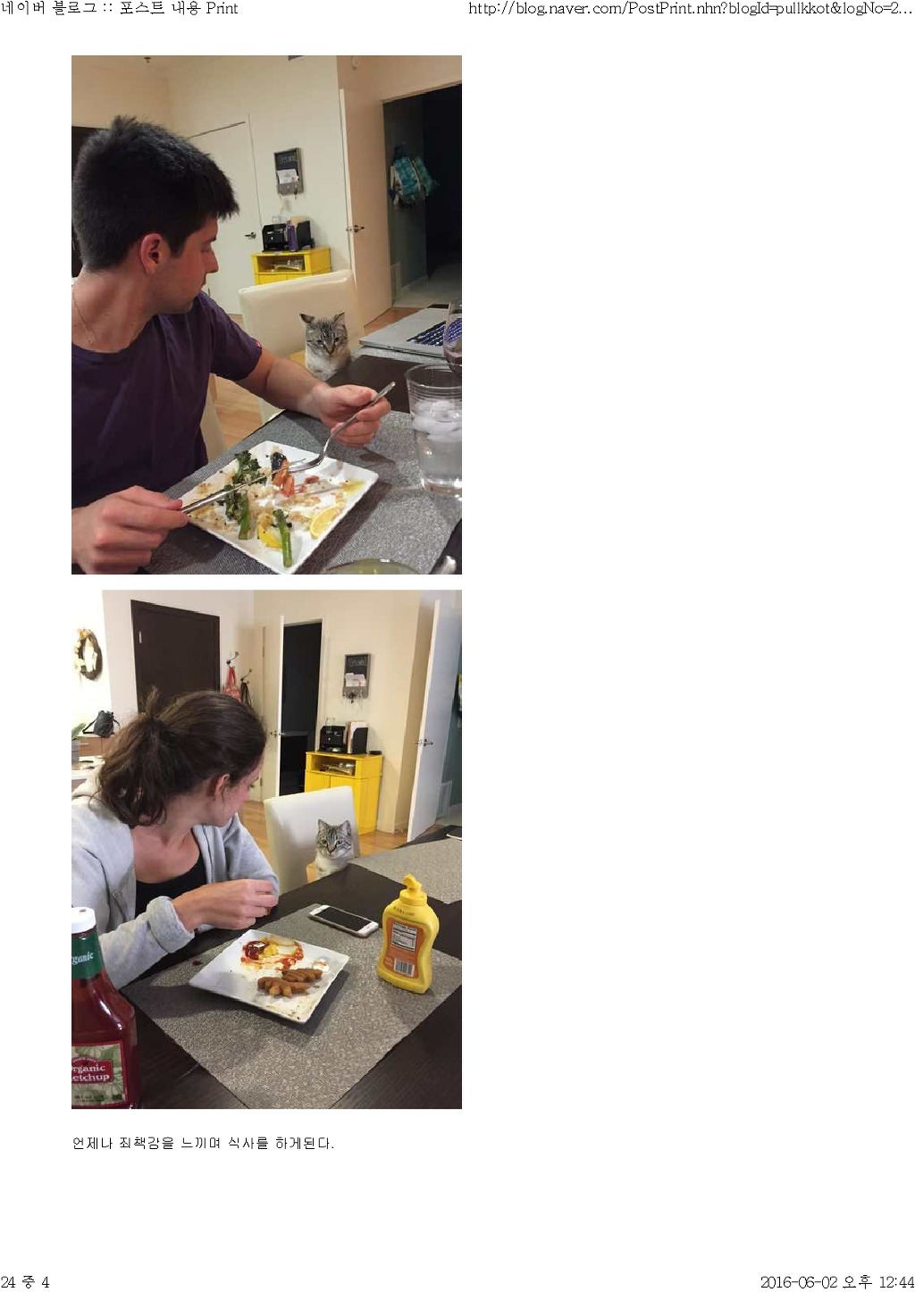 고양이와 함께 산다는것 | 인스티즈