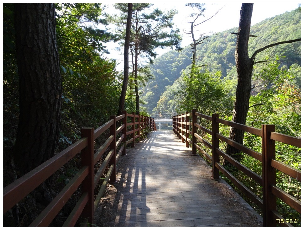 (주)정다운 여행 이미지