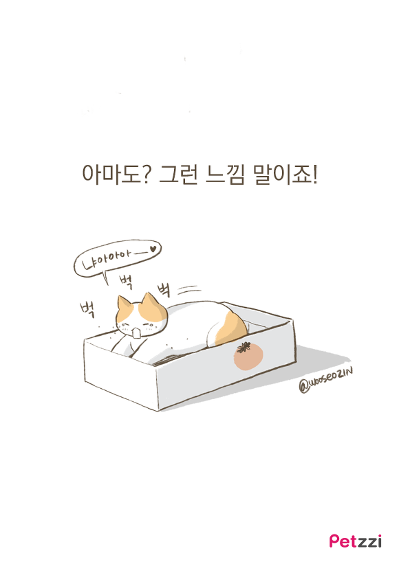 고양이가 긁는 이유(만화).jpg | 인스티즈