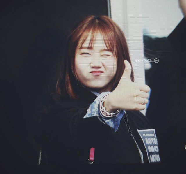 술시 이미지