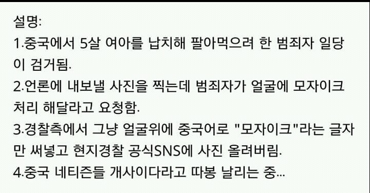 대륙의 모자이크 | 인스티즈