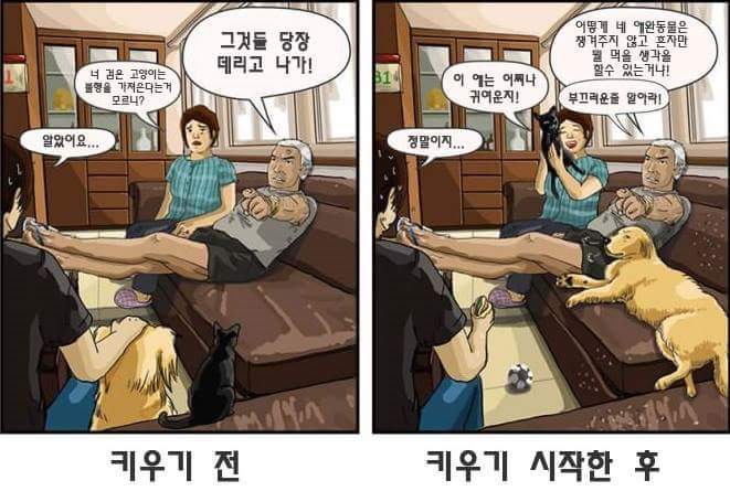 애완동물 키우기 전과 후 | 인스티즈