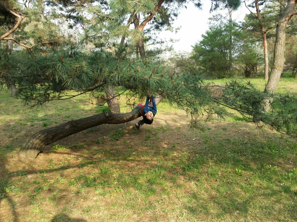 시립토평마을어린이집 이미지