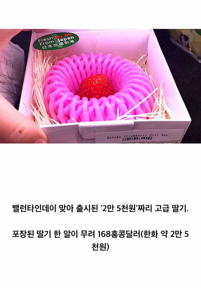 2만 5천원짜리 딸기 | 인스티즈