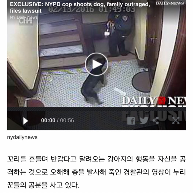 반갑다고 꼬리 치는 강아지 총으로 쏴죽인 경찰 | 인스티즈