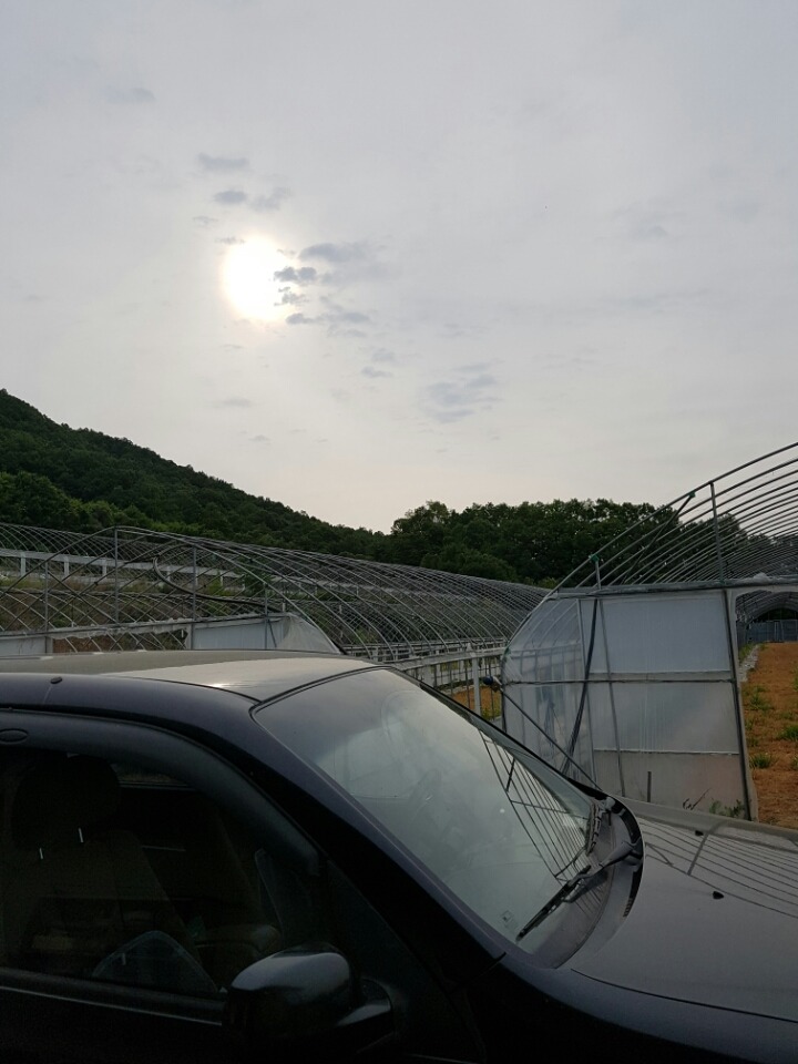 버섯돌이네농장 이미지