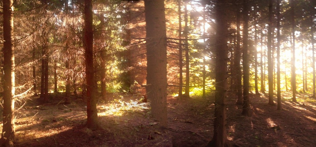 255CD74B5879ED9D02FC8B