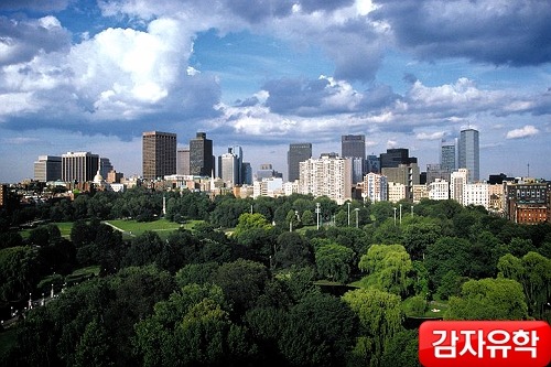 (주)지오스 이미지