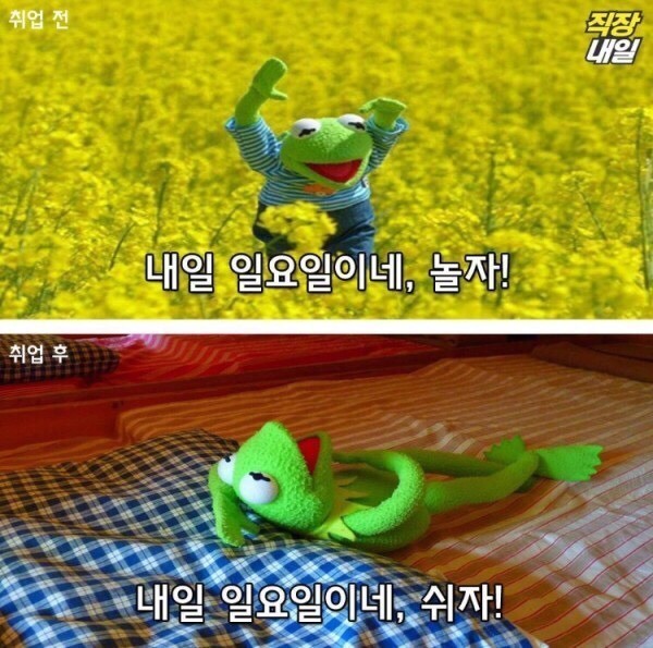 월요병걸린 쌍커들을 위한 취직전 vs 취직후 (개구리 귀여움 주의)-이미지 추가 | 인스티즈