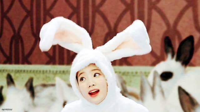 트와이스 다현 토끼 | 인스티즈