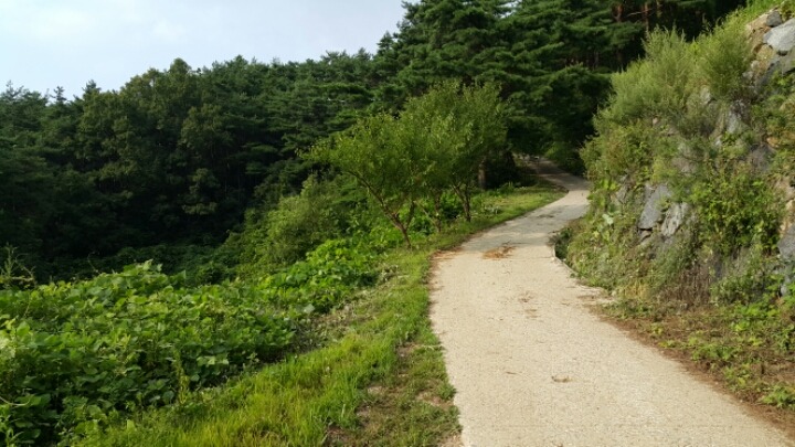 지리산의하루 이미지