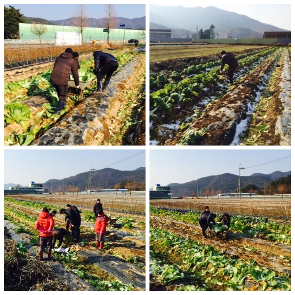 고성곱배 이미지