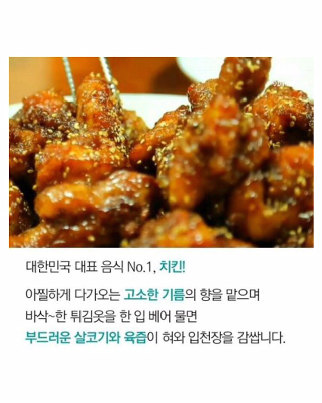 치킨맛집 TOP10 | 인스티즈