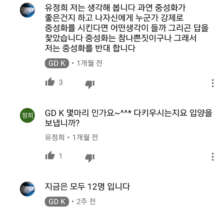 가정집 고양이공장같은 애니머호더 유튜버 봐줘라 | 인스티즈