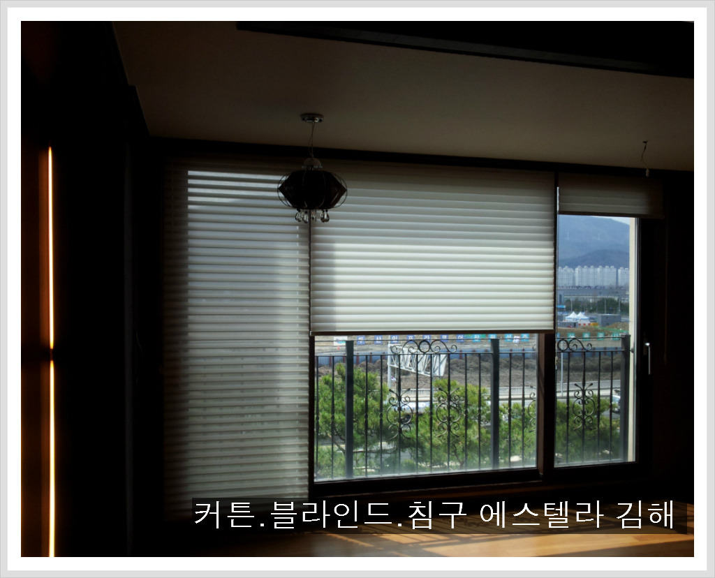 루이젠 이미지