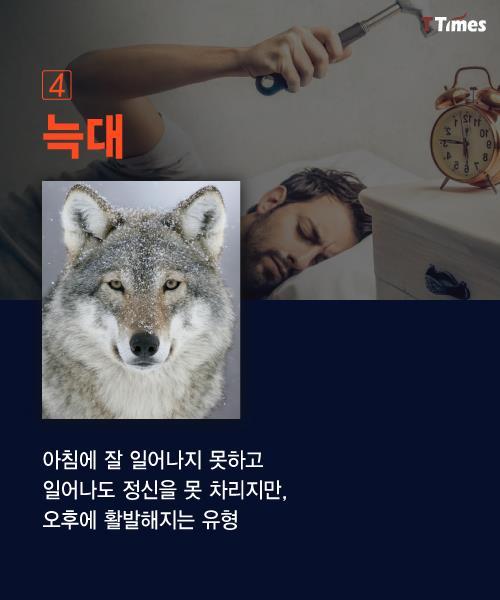 수면 패턴으로 알아보는 인간형 분류 | 인스티즈