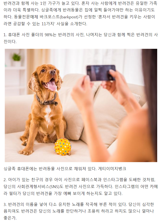 반려견을 키우는 싱글이라면 공감할 사실 11가지 | 인스티즈