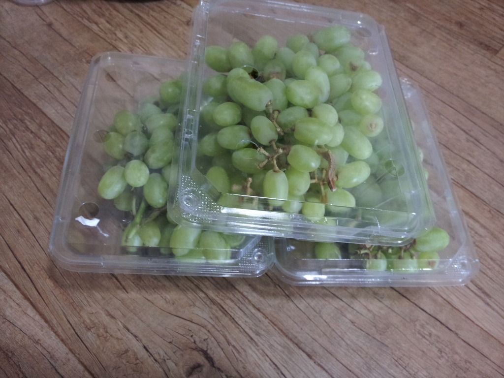 늘푸른청과 이미지