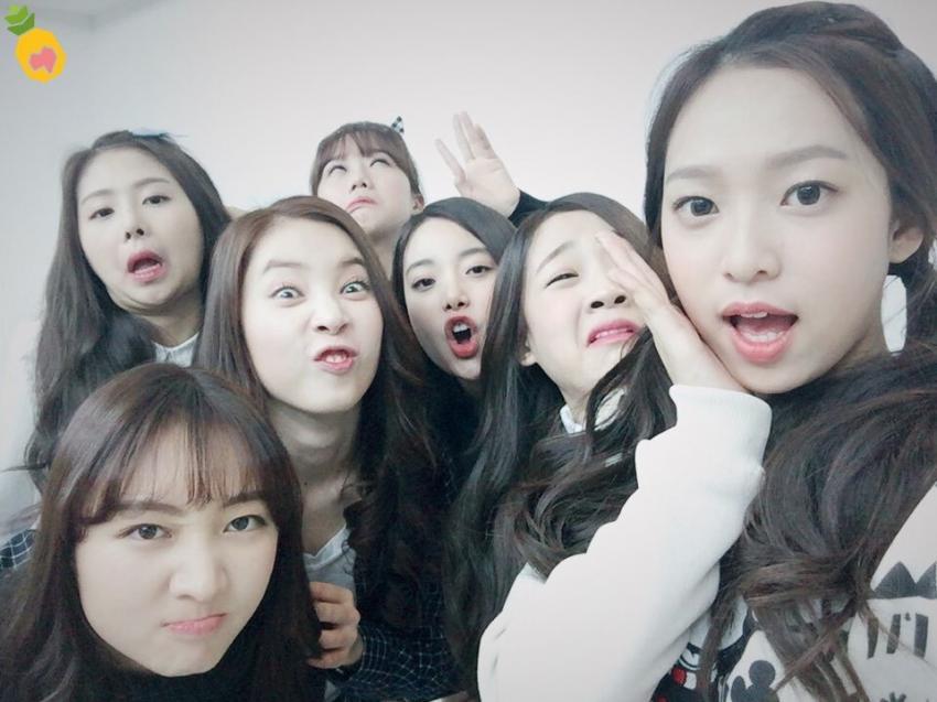 에이프릴+윤채경,조시윤 얼굴몰아주기 | 인스티즈