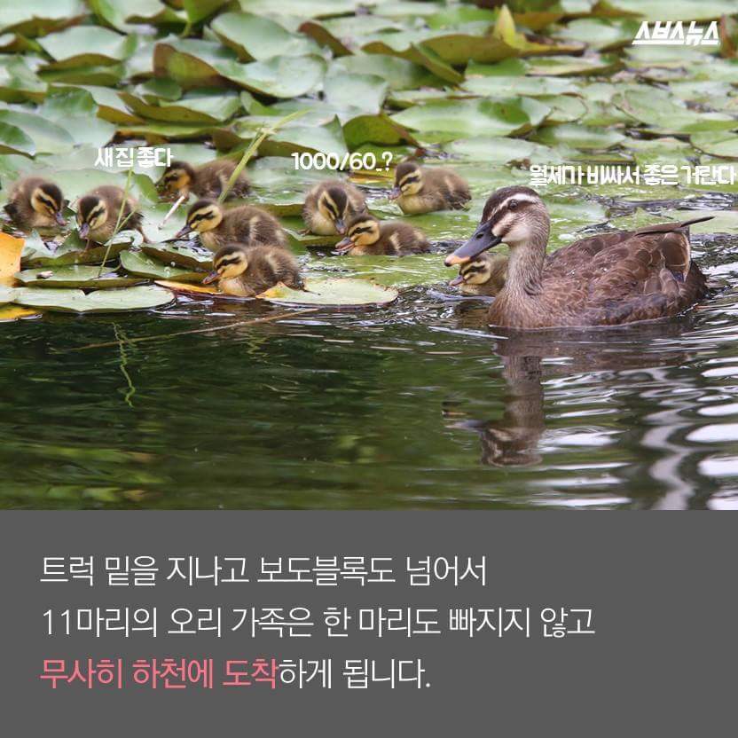 당신은 당신의 이웃을 사랑하십니까? | 인스티즈