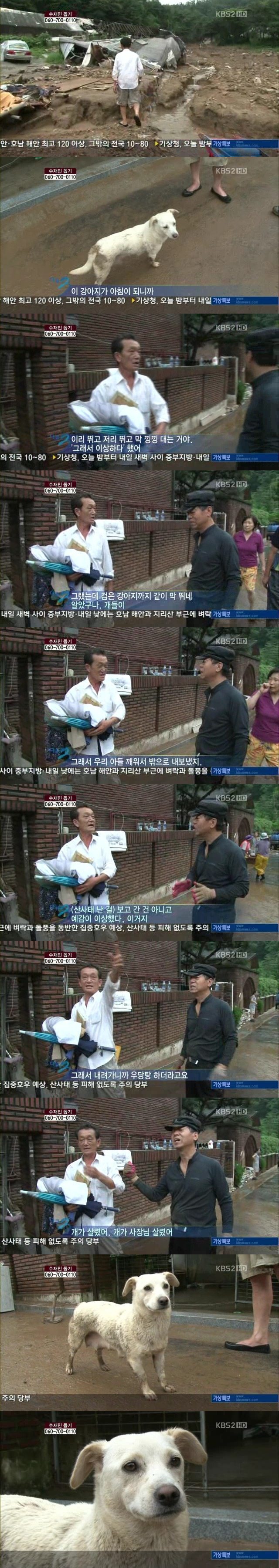 갓아지.JPG | 인스티즈