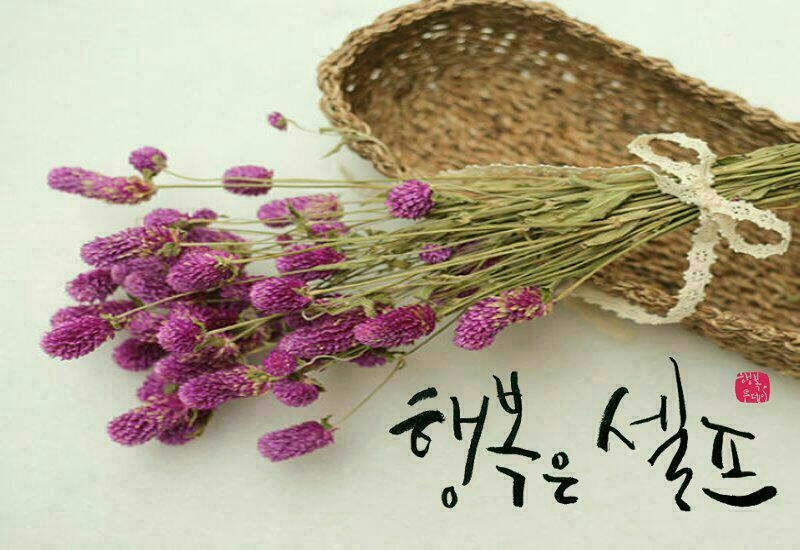 행복한선물 이미지
