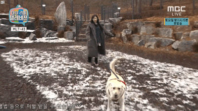 지금 하고 있는 마리텔 개방 컨텐츠.gif | 인스티즈