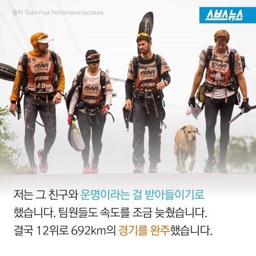 길에서 만난 친구 .jpg | 인스티즈