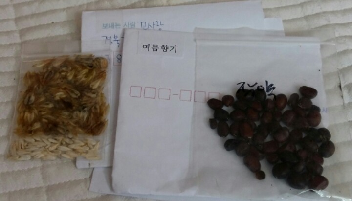 꼬사랑 이미지