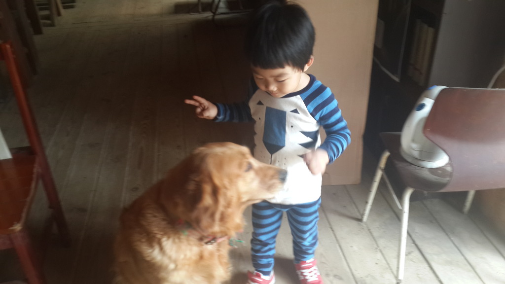 진영농원 이미지