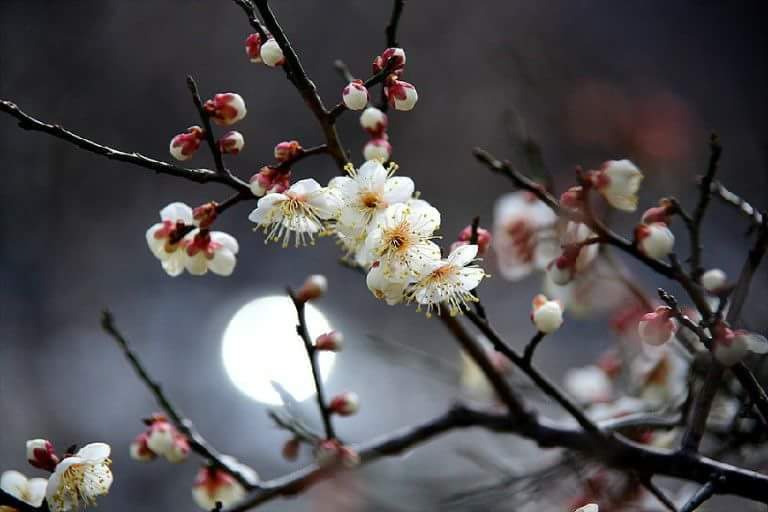 고은님 이미지