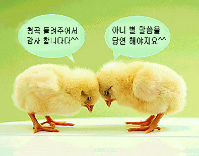 한국직업지도진흥원 이미지