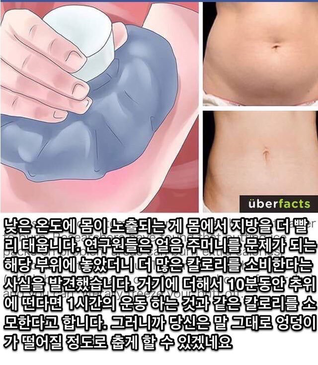 추우면 칼로리 소비가 많다는 정보를 접한 우리들의 모습 | 인스티즈