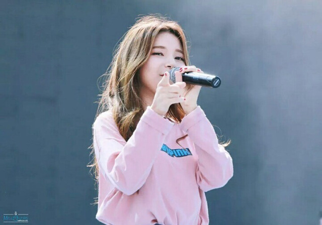 솔리 이미지