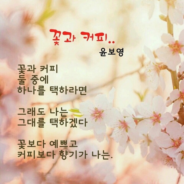 맛나다 이미지