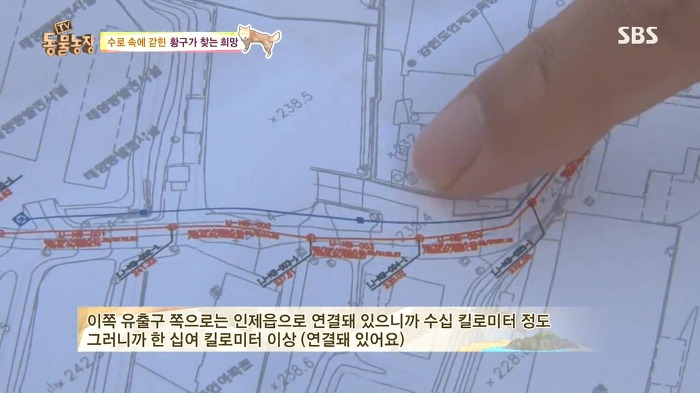 [동물농장] 수로 속에 갇힌 황구가 찾는 희망.JPG (감동주의) | 인스티즈