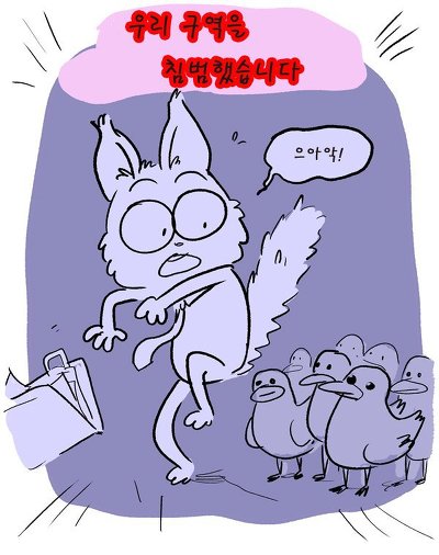 길을 잘못 들어간 고양이 | 인스티즈