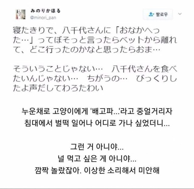 고양이에게 배고프다고 했더니.cute | 인스티즈