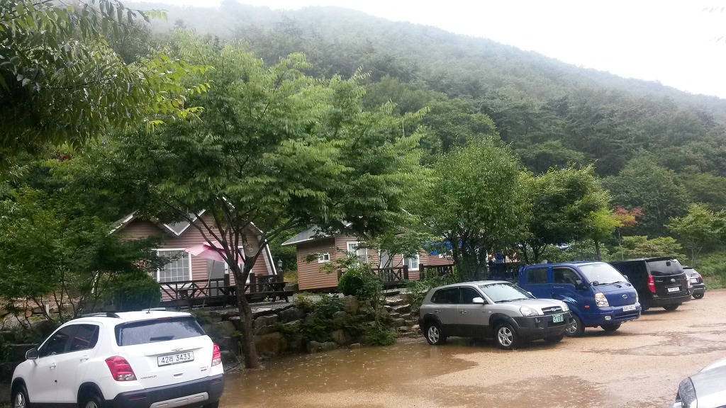 사단법인 양산학춤보존회 이미지